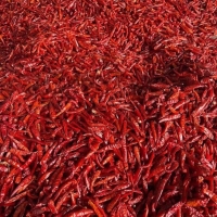 ỚT KHÔ MIỀN TRUNG 