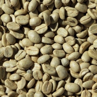 CÀ PHÊ SẠCH CTY MỘC NY 