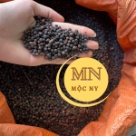 TIÊU ĐEN XÁ TẠI ĐẮK NÔNG 