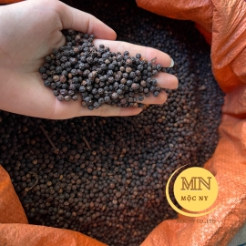 TIÊU ĐEN XÁ TẠI ĐẮK NÔNG 