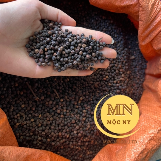 TIÊU ĐEN XÁ TẠI ĐẮK NÔNG 